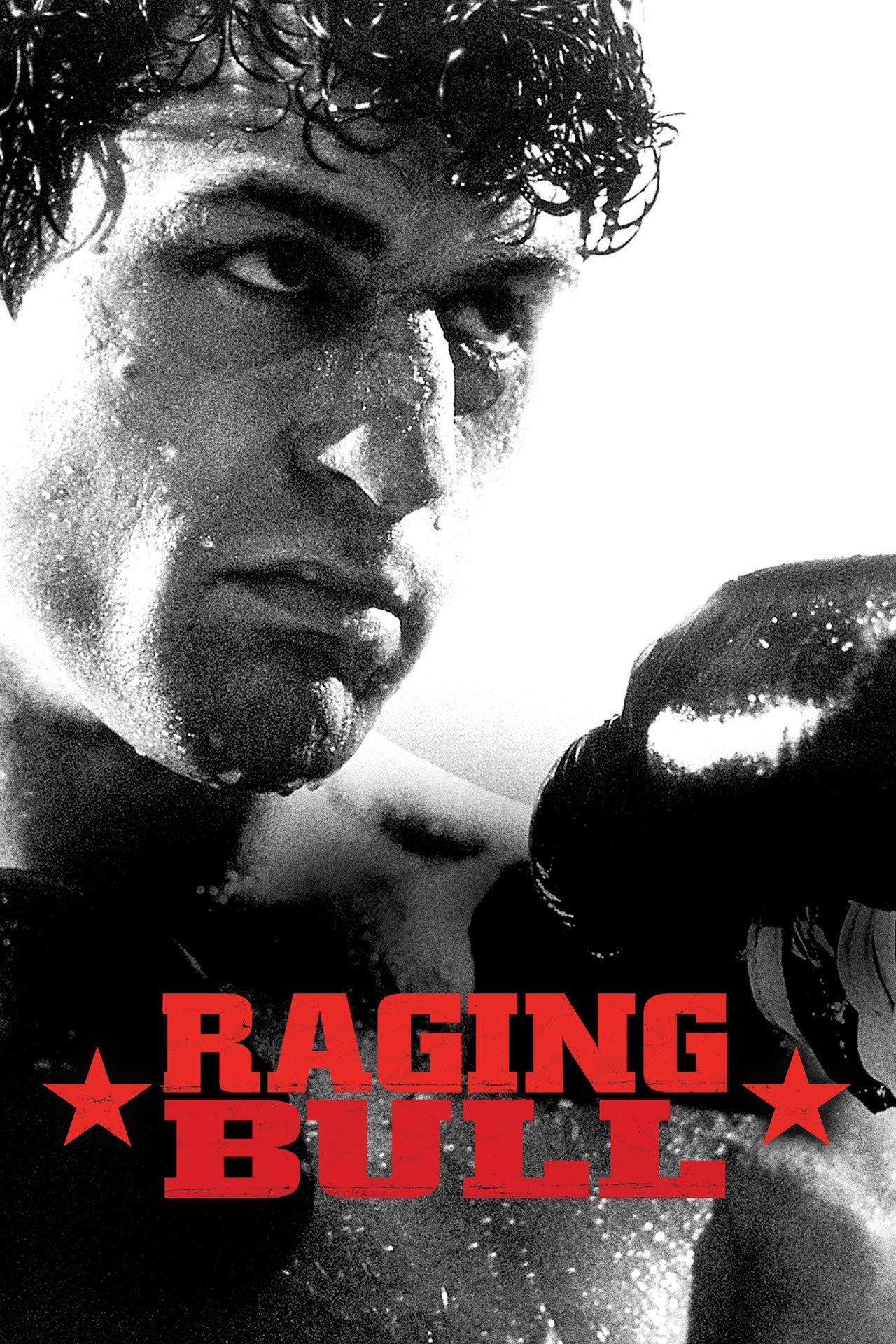 Raging Bull (1980) [3402] (A1762933696) [[Movies]] --Plex--